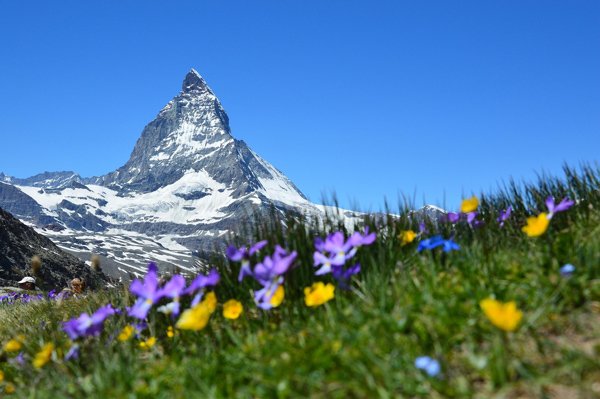 Le Mont Cervin, sommet emblématique des Alpes, idéal pour l'inspiration et la stratégie