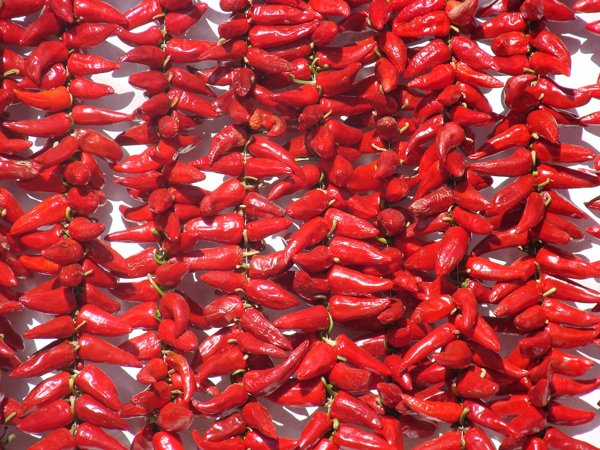 Piment d'Espelette séchant sur les maisons basques