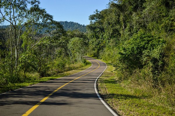 Route traversant une forêt de montagne, entourée de nature verdoyante