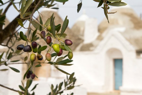 Les trulli d'Alberobello, symboles emblématiques de la région des Pouilles